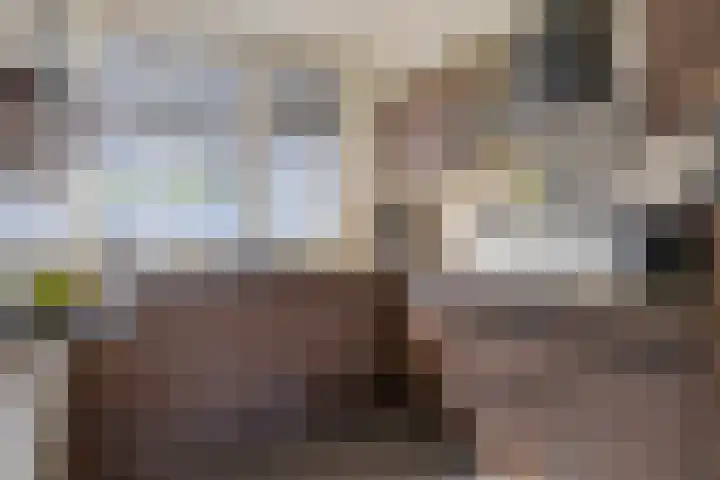 Marjoleinhof 13 Schijndel thumbnail 15