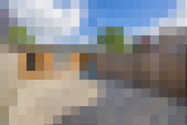 Marjoleinhof 13 Schijndel thumbnail 27