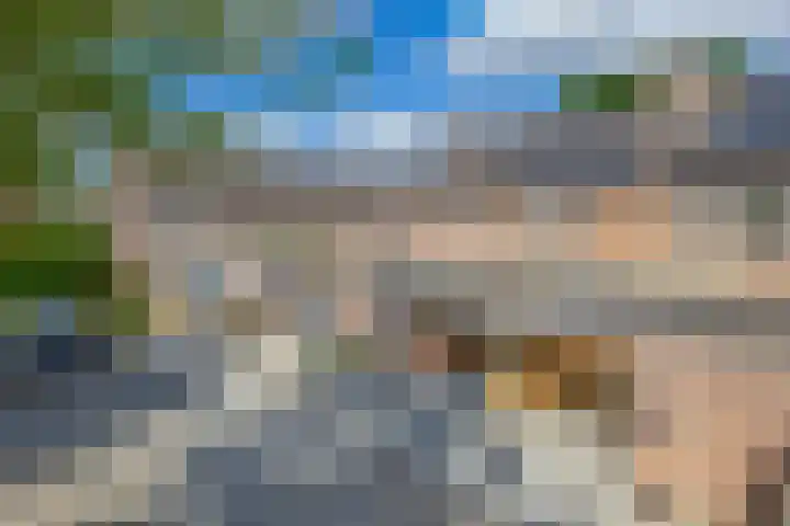 Marjoleinhof 13 Schijndel thumbnail 30