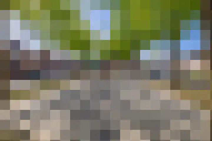 Marjoleinhof 13 Schijndel thumbnail 31