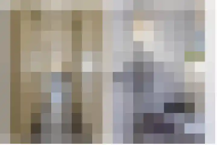 Marjoleinhof 13 Schijndel thumbnail 6