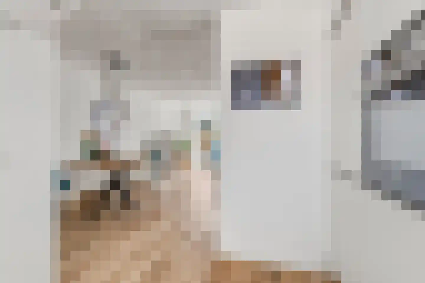 Marjoleinhof 17 Schijndel thumbnail 14
