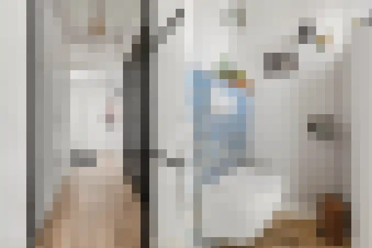 Marjoleinhof 17 Schijndel thumbnail 18