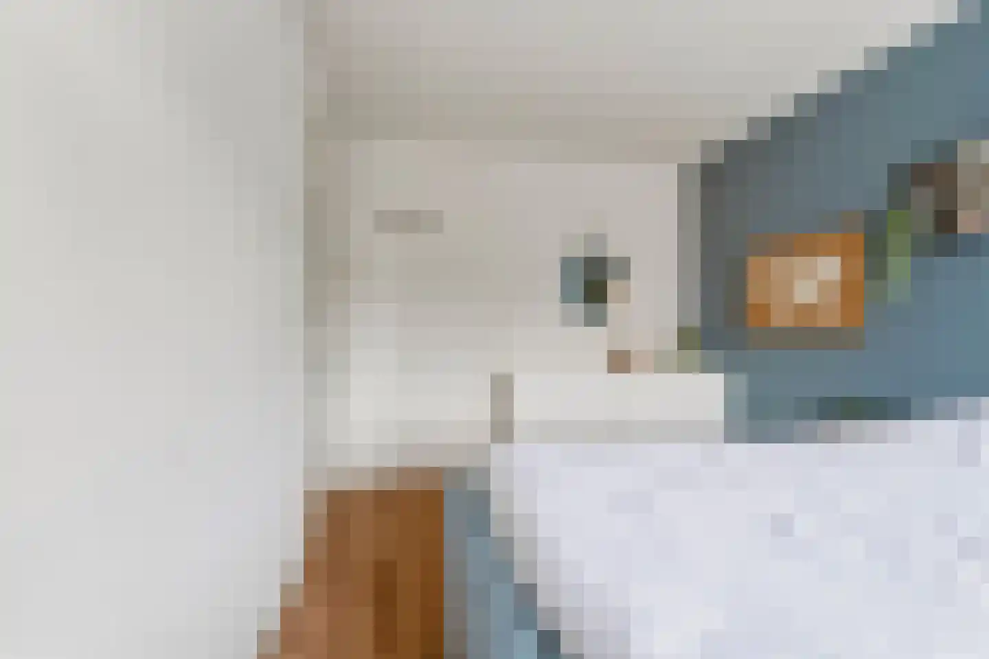 Marjoleinhof 17 Schijndel thumbnail 26