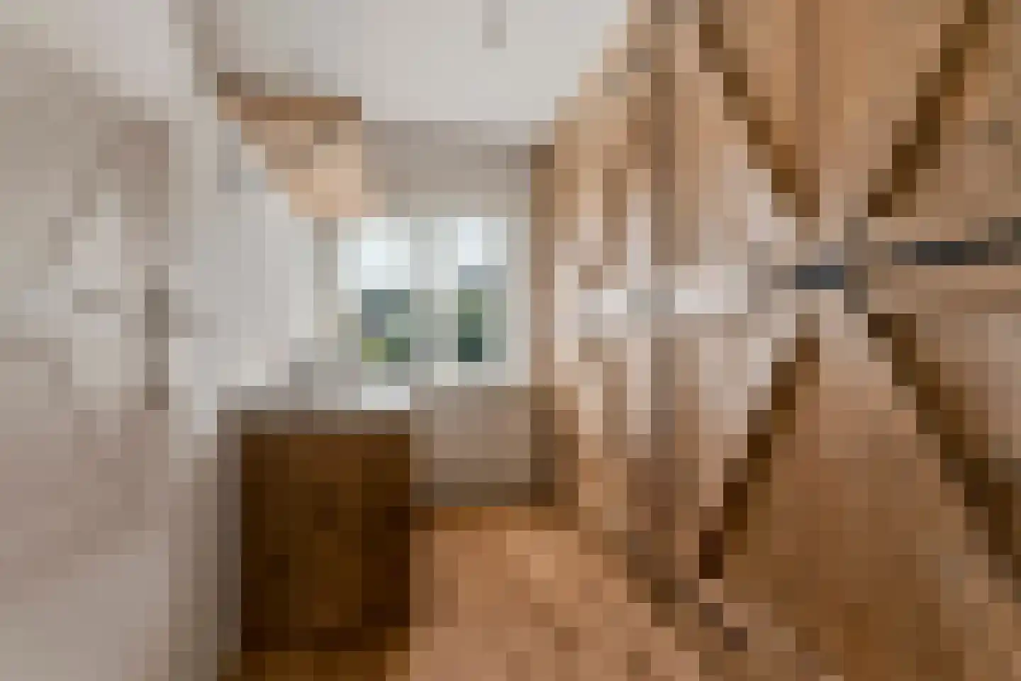 Marjoleinhof 17 Schijndel thumbnail 27