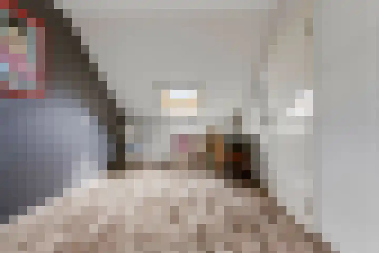 Marjoleinhof 17 Schijndel thumbnail 35