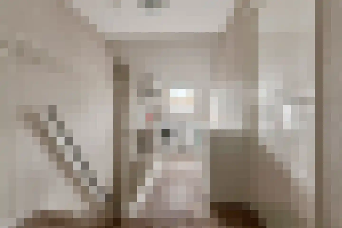 Marjoleinhof 17 Schijndel thumbnail 36