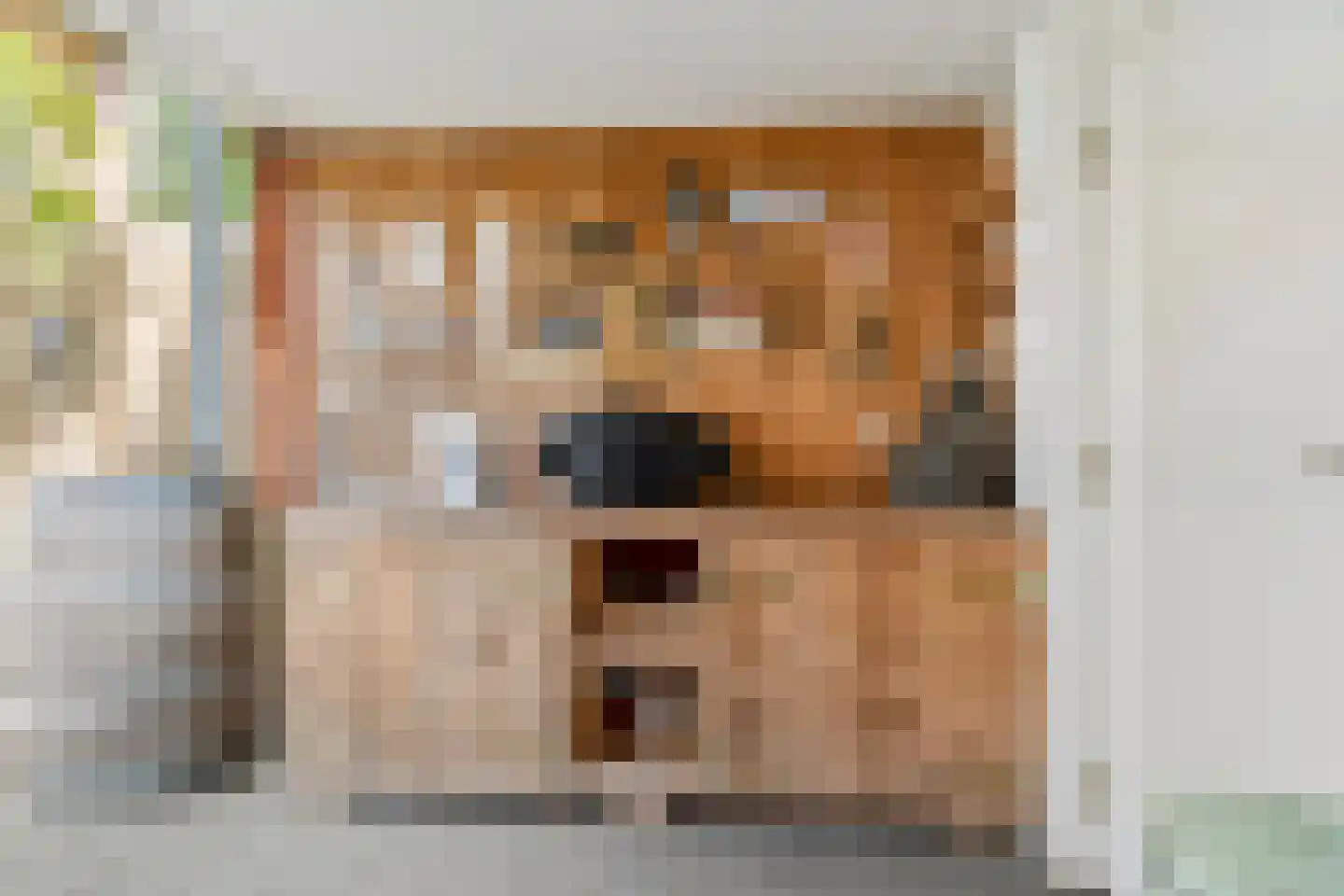 Marjoleinhof 17 Schijndel thumbnail 40