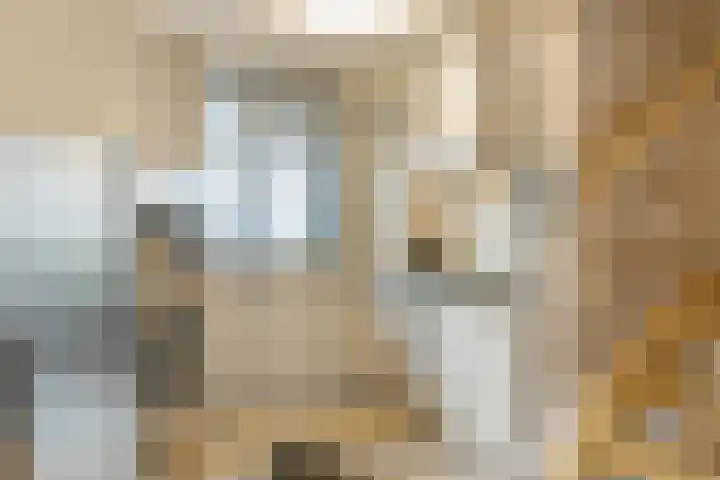Marjoleinhof 32 Schijndel thumbnail 12