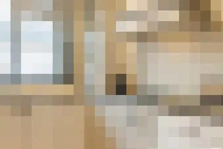 Marjoleinhof 32 Schijndel thumbnail 14