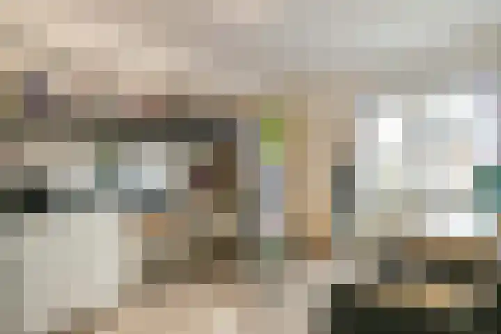 Marjoleinhof 32 Schijndel thumbnail 19