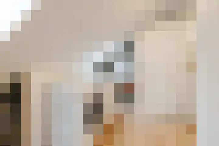 Marjoleinhof 32 Schijndel thumbnail 23