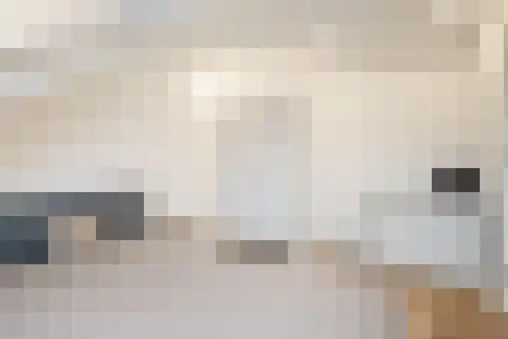 Marjoleinhof 32 Schijndel thumbnail 29