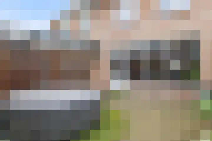 Marjoleinhof 32 Schijndel thumbnail 31