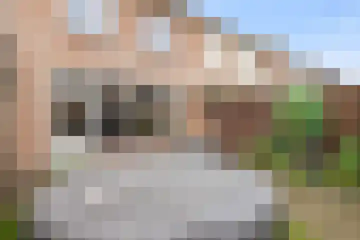 Marjoleinhof 32 Schijndel thumbnail 32