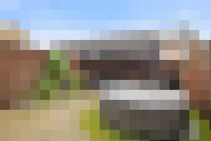 Marjoleinhof 32 Schijndel thumbnail 34