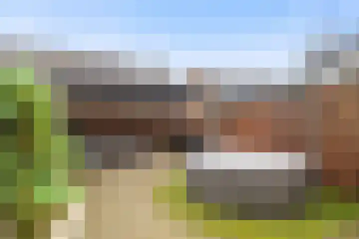 Marjoleinhof 32 Schijndel thumbnail 35