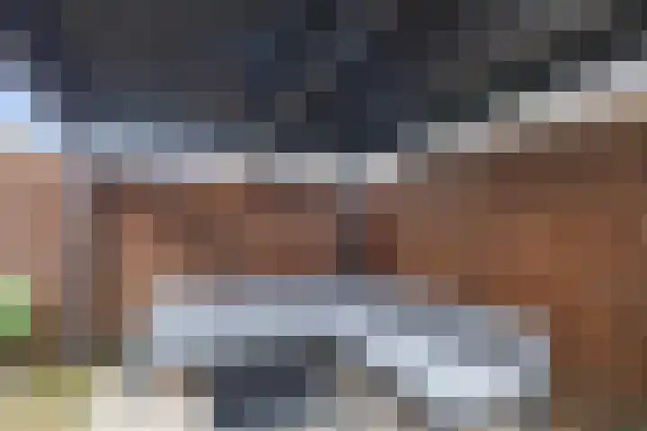 Marjoleinhof 32 Schijndel thumbnail 37