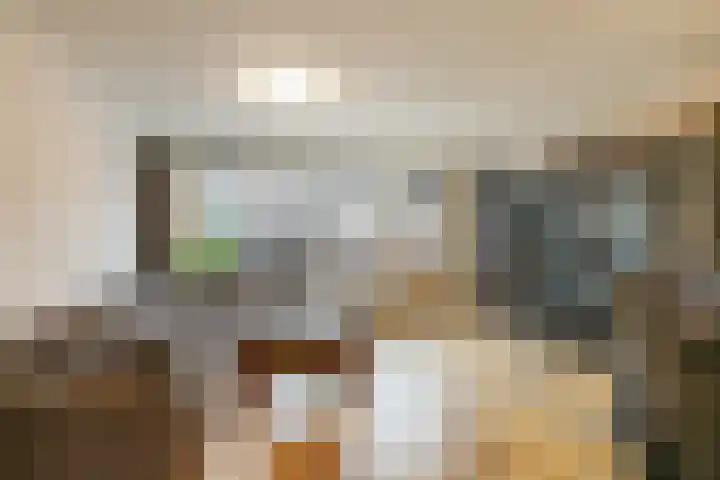 Marjoleinhof 32 Schijndel thumbnail 6