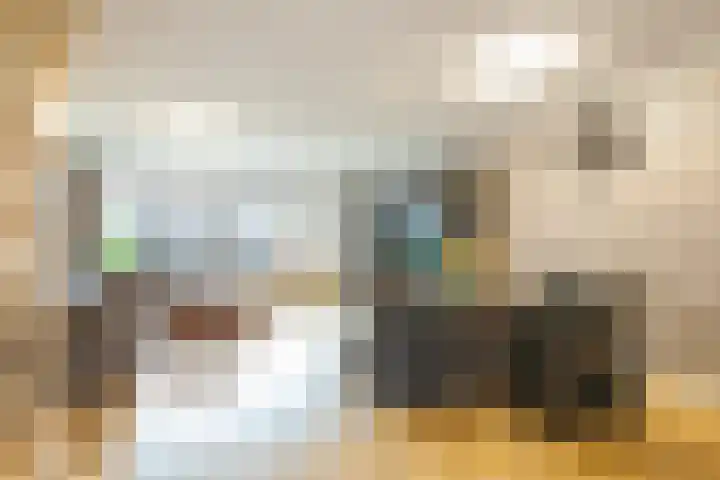 Marjoleinhof 32 Schijndel thumbnail 8