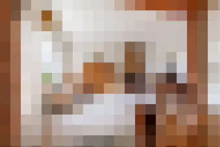 Marjoleinlaan 10 Wierden thumbnail 12