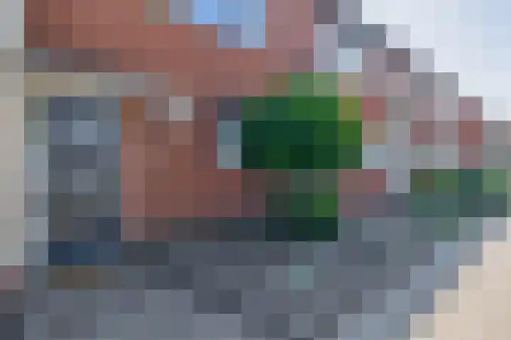 Marjoleinlaan 10 Wierden thumbnail 13