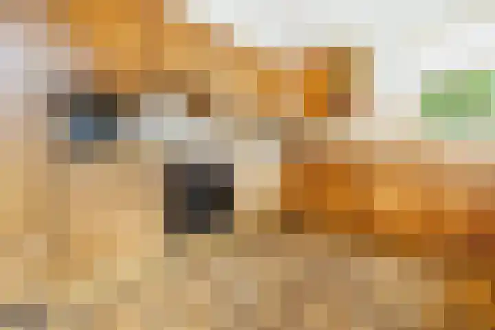 Marjoleinlaan 10 Wierden thumbnail 21