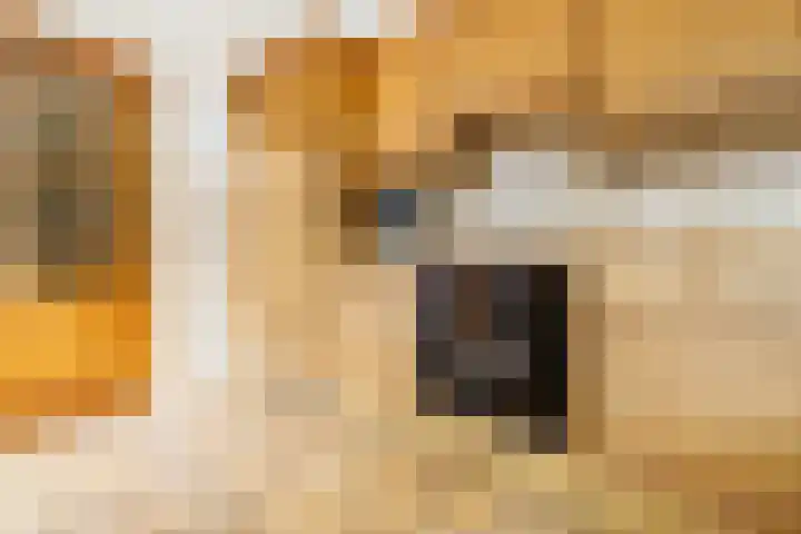 Marjoleinlaan 10 Wierden thumbnail 23