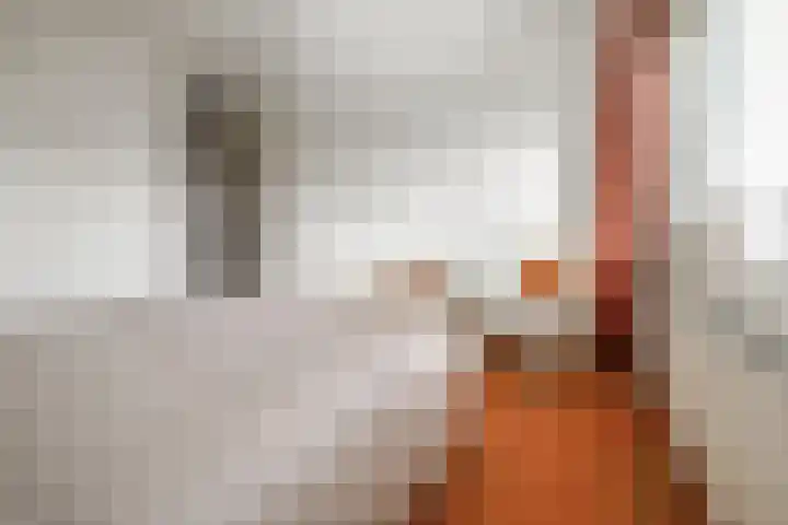 Marjoleinlaan 10 Wierden thumbnail 27