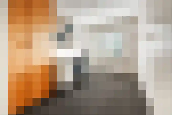 Marjoleinlaan 10 Wierden thumbnail 31
