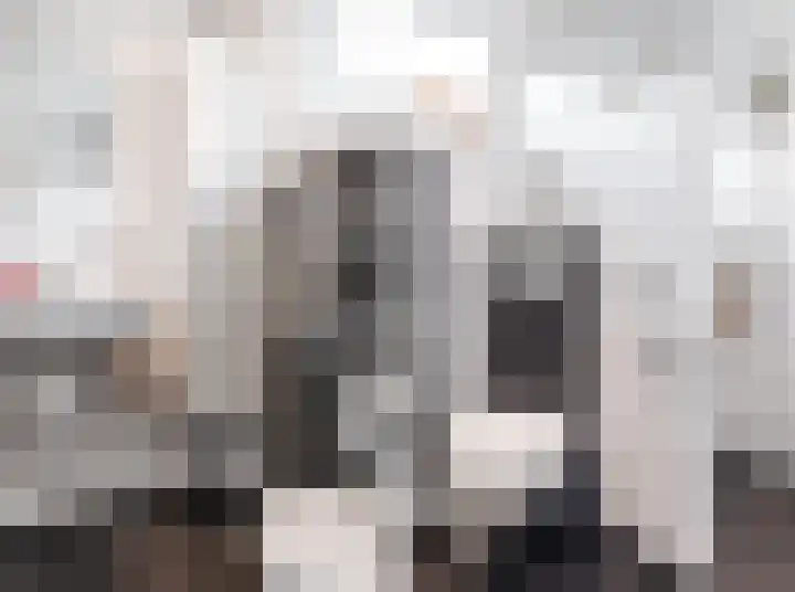 Marjoleinlaan 10 Wierden thumbnail 34