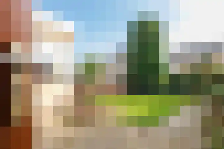 Marjoleinlaan 10 Wierden thumbnail 38