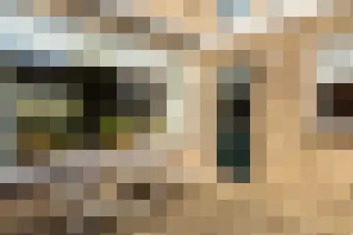 Marjoleinlaan 10 Wierden thumbnail 40