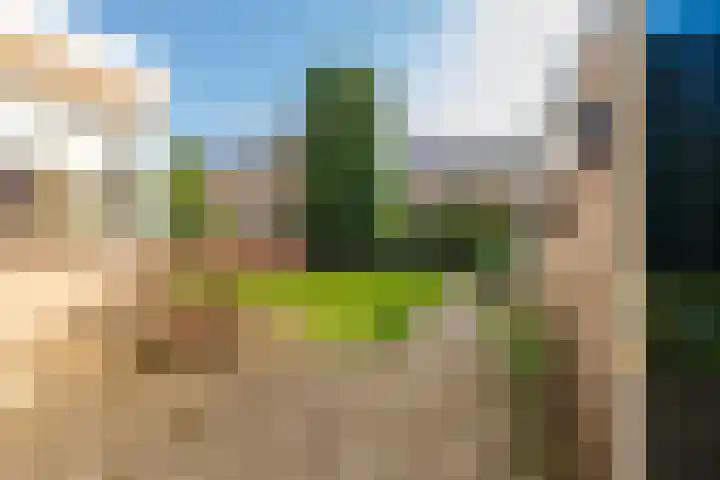 Marjoleinlaan 10 Wierden thumbnail 41