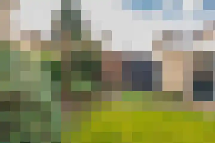 Marjoleinlaan 10 Wierden thumbnail 42