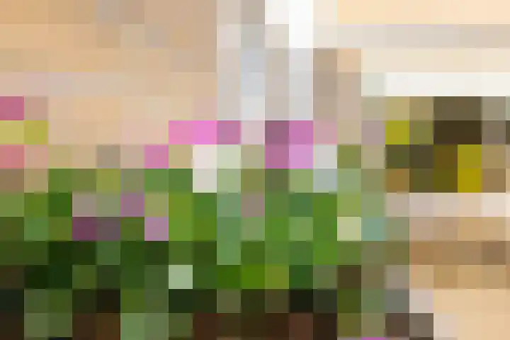 Marjoleinlaan 10 Wierden thumbnail 43