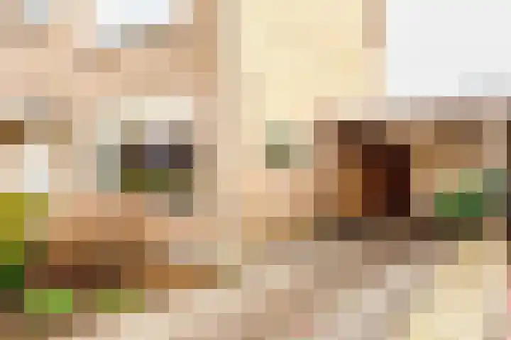 Marjoleinlaan 10 Wierden thumbnail 47