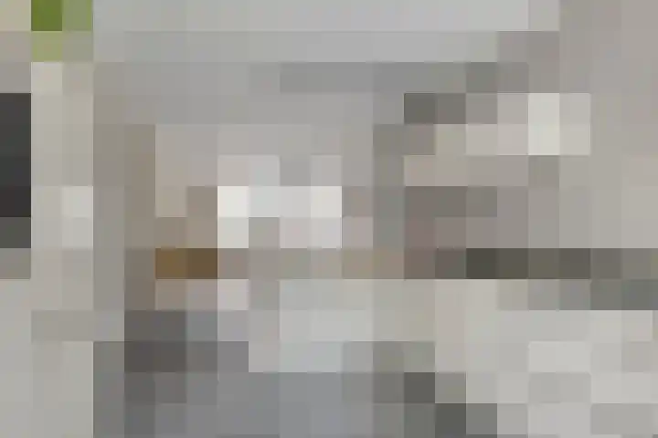 Marjoleinlaan 14 Amstelveen thumbnail 15