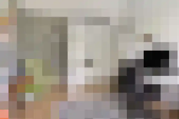 Marjoleinlaan 14 Amstelveen thumbnail 24
