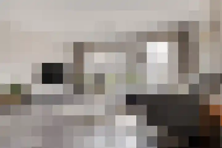 Marjoleinlaan 14 Amstelveen thumbnail 4
