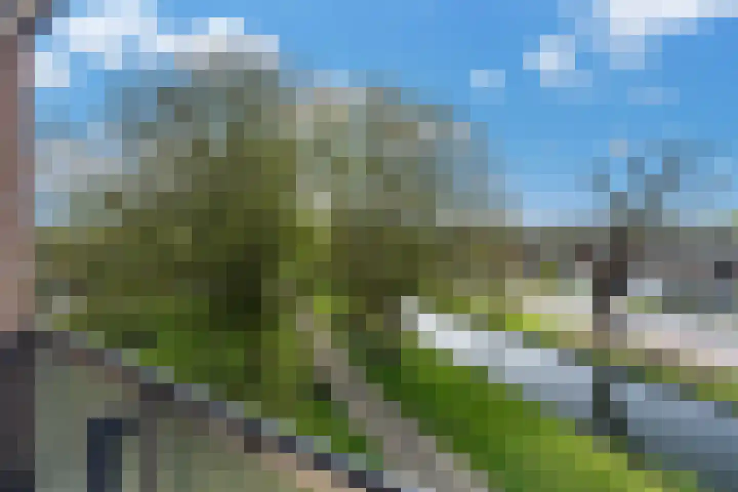 Marjoleinlaan 19 Barendrecht thumbnail 39