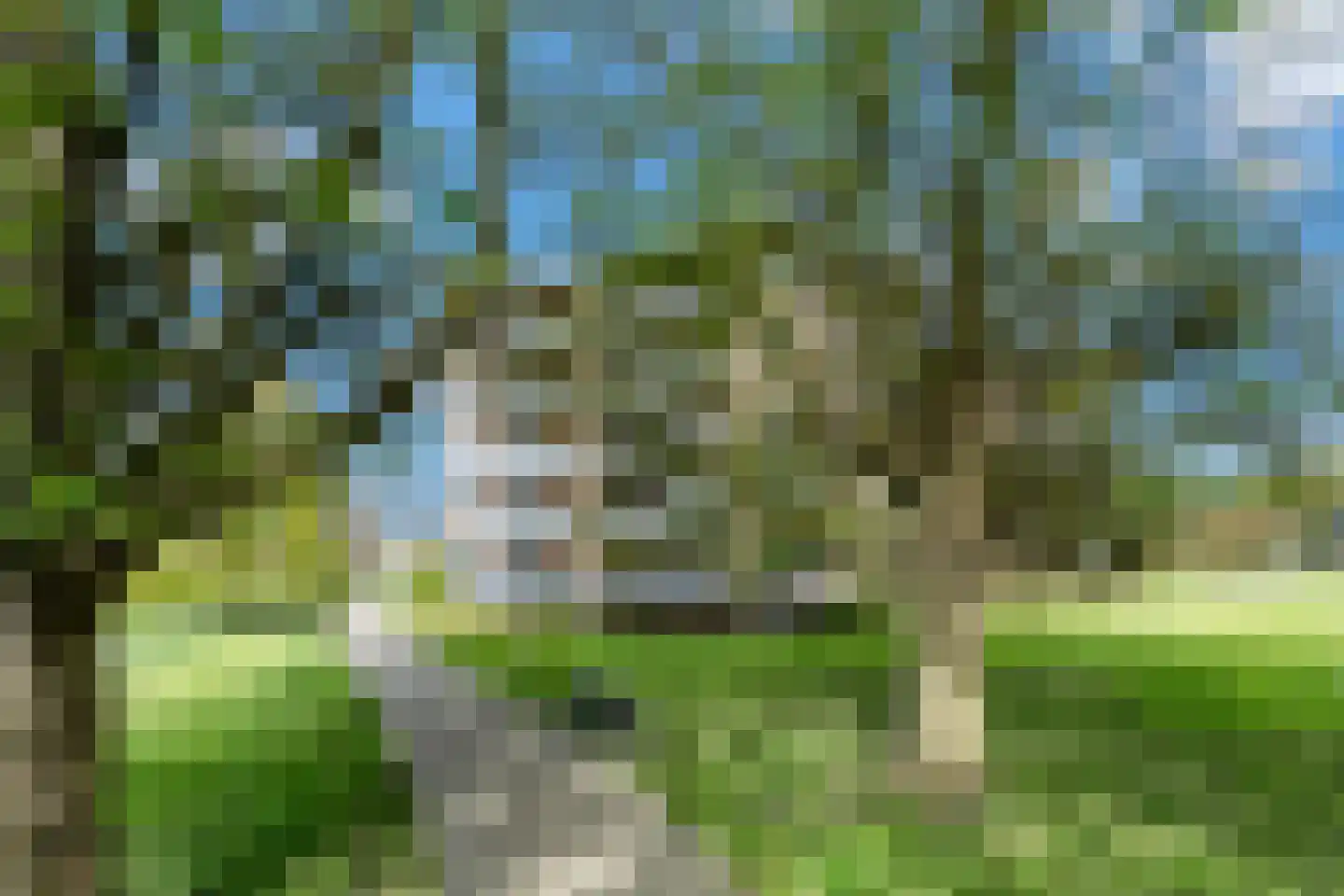 Marjoleinlaan 19 Barendrecht thumbnail 4