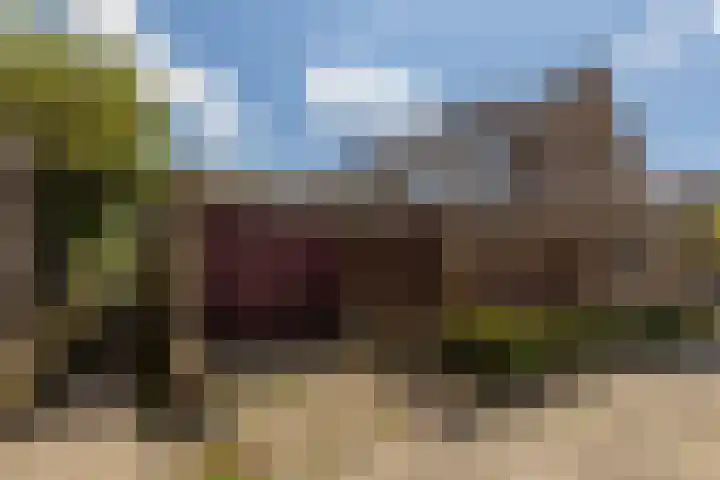 Marjoleinlaan 22 Barendrecht thumbnail 5