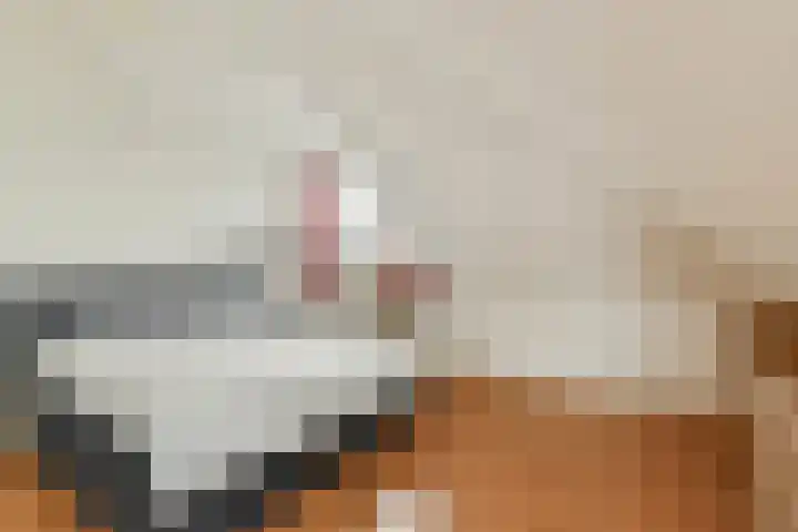 Marjoleinlaan 32 Amstelveen thumbnail 30
