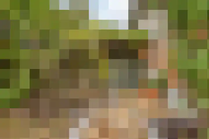 Marjoleinlaan 35 Amstelveen thumbnail 32