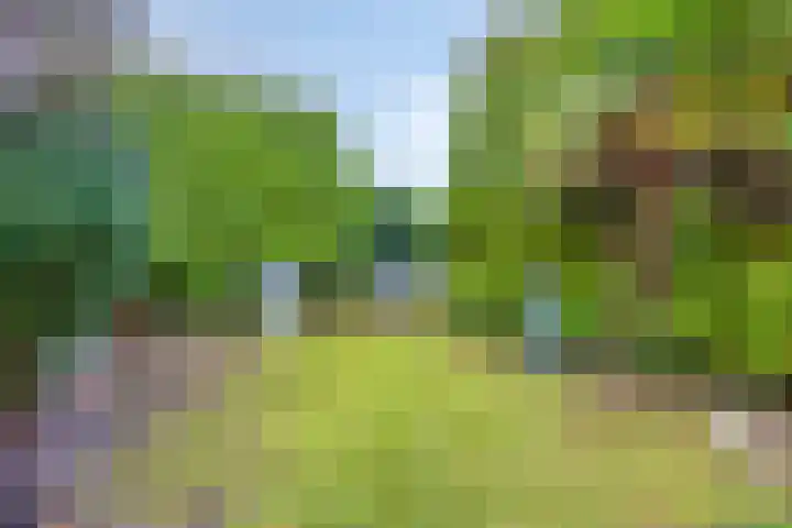 Marjoleinlaan 35 Amstelveen thumbnail 33