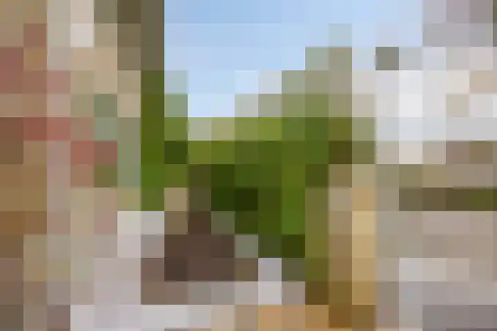 Marjoleinlaan 35 Amstelveen thumbnail 8