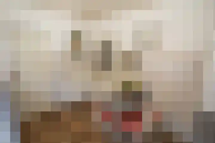 Marjoleinlaan 58 Wierden thumbnail 24
