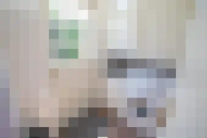 Marjoleinlaan 58 Wierden thumbnail 27