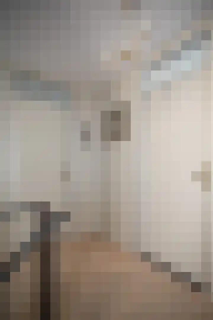 Marjoleinlaan 58 Wierden thumbnail 28